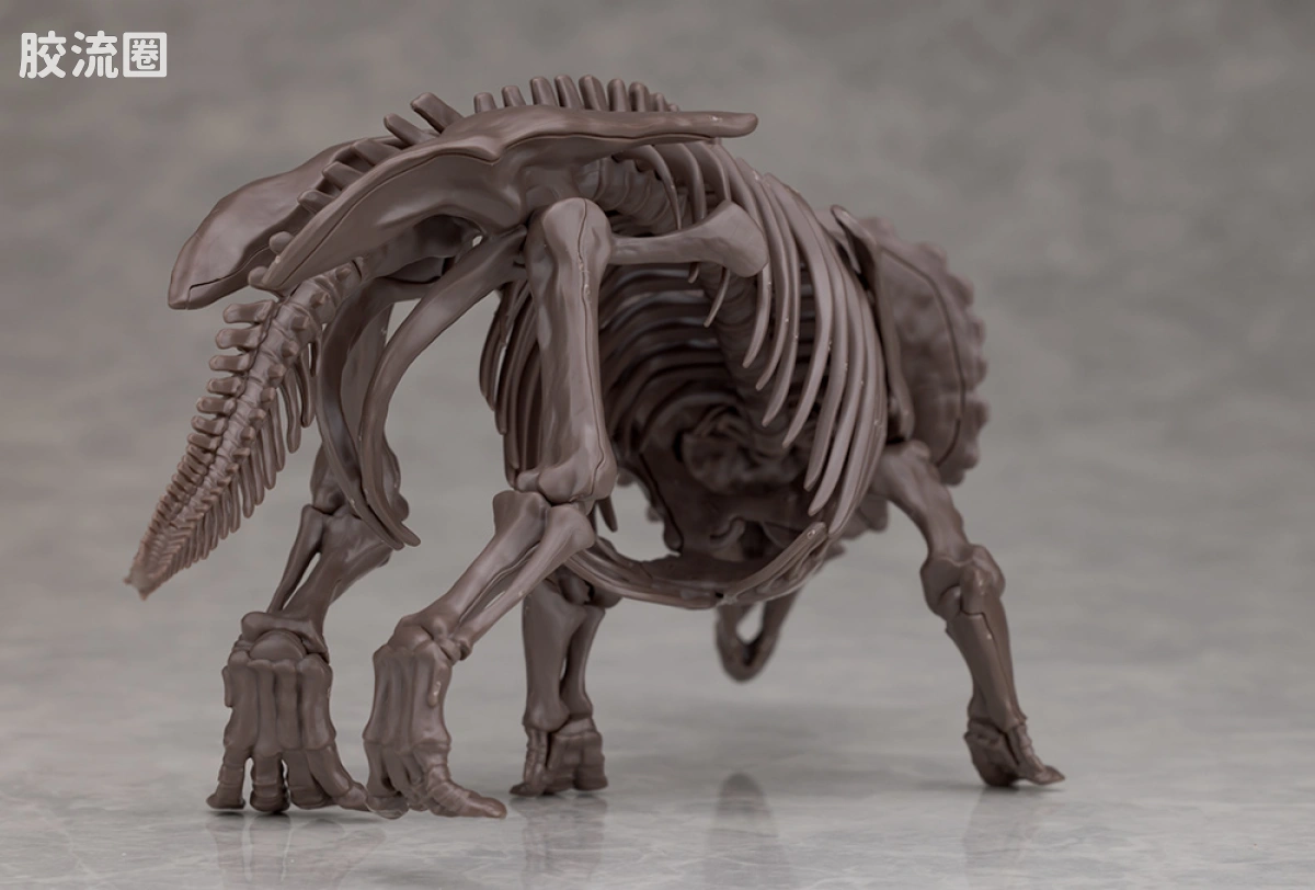 万代综合拼装模型系列 Imaginary Skeleton系列 三角龙 - 图片